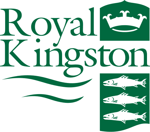 Kingston upon Thames Council